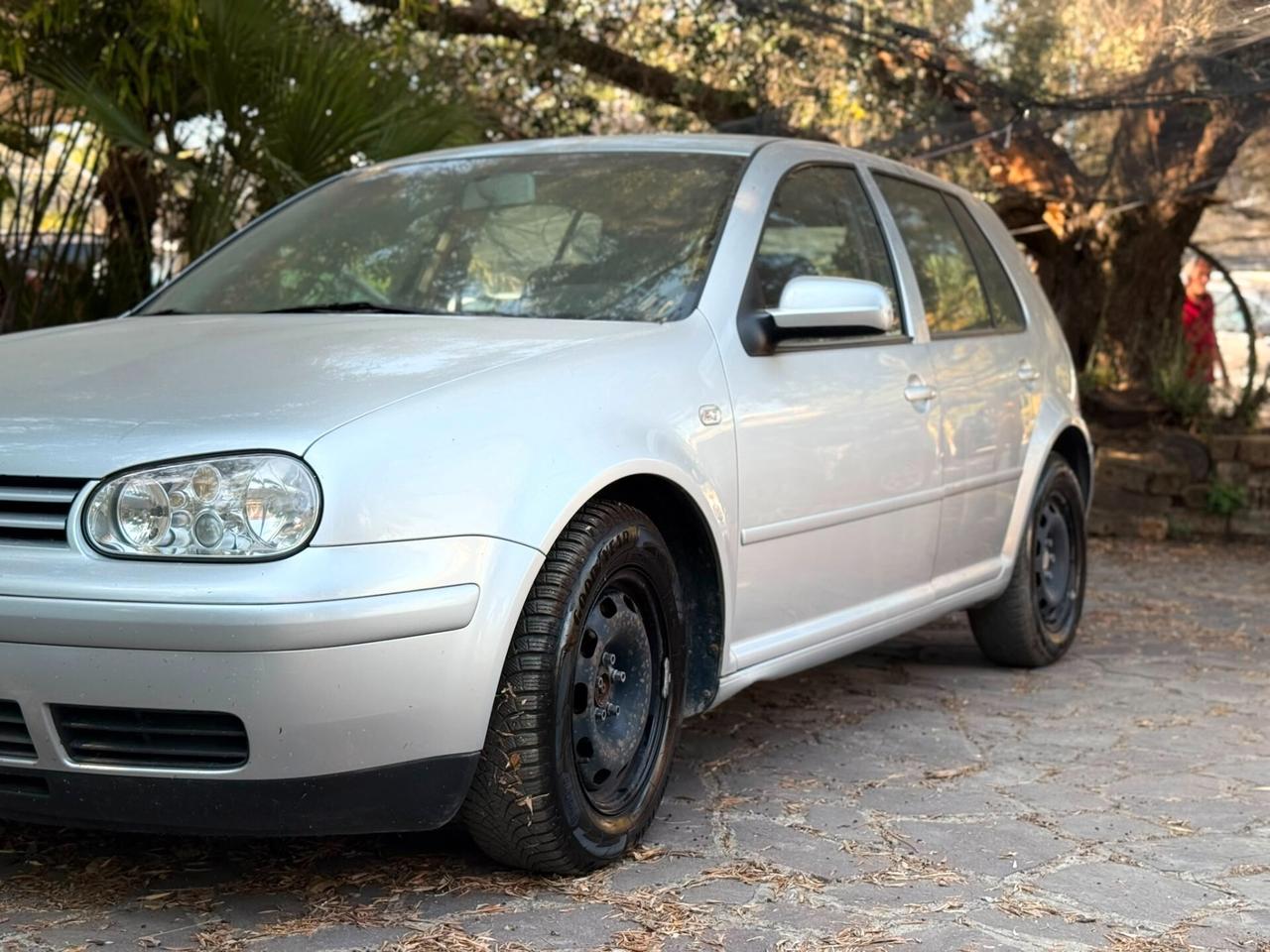 Volkswagen Golf 1.9 TDI/130 CV cat 5p. Highline