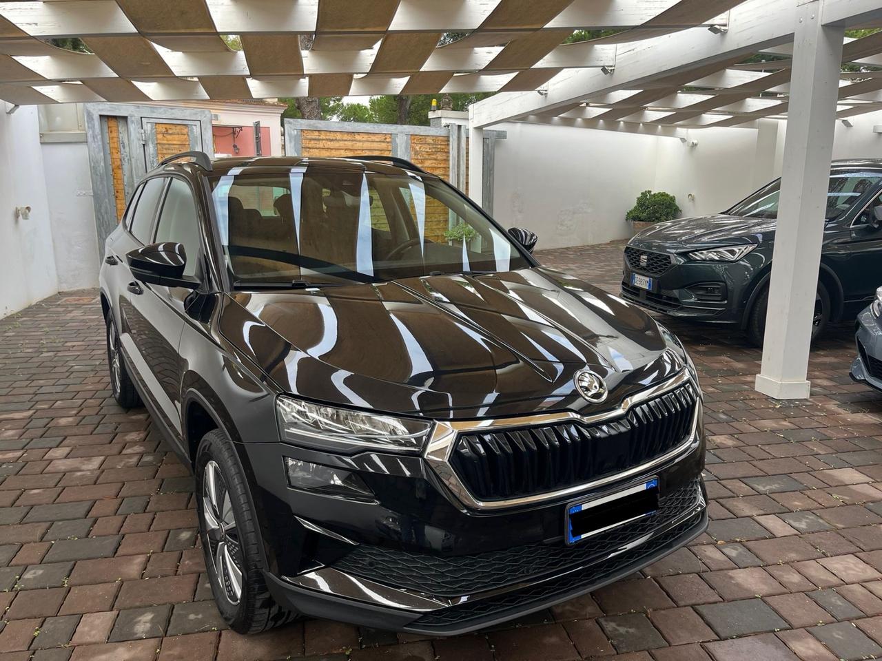 Skoda Karoq 2.0 TDI EVO SCR 4x4 DSG Executive