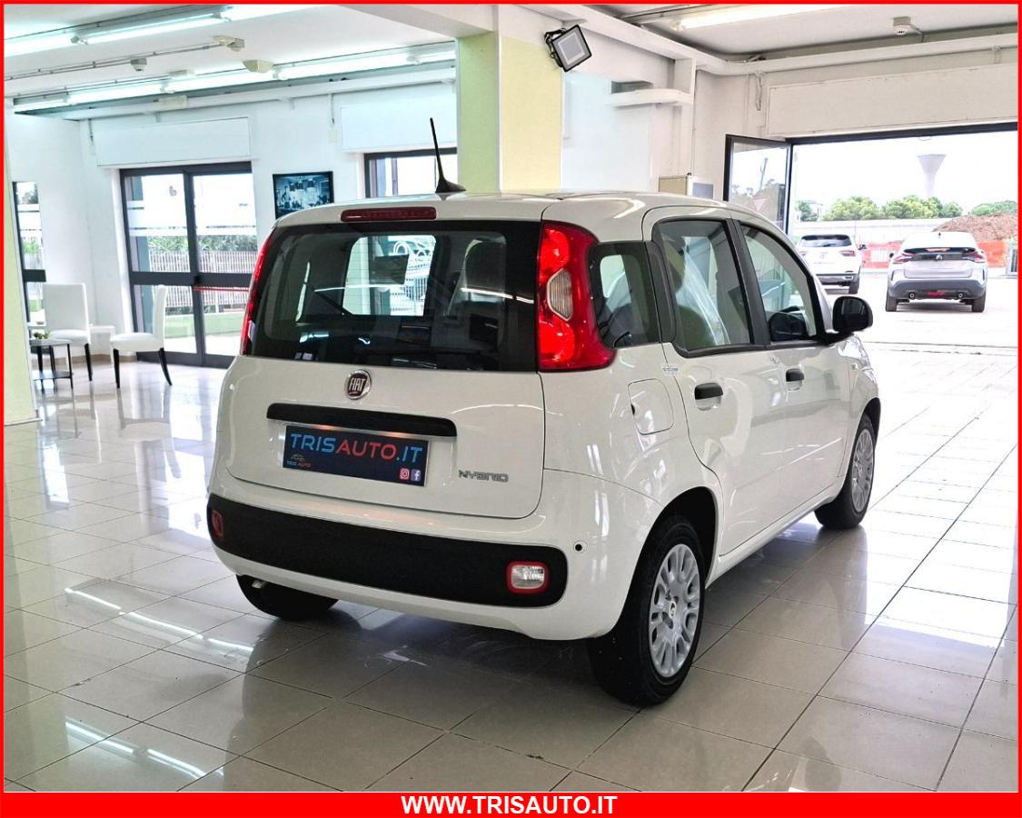 FIAT Panda 1.0 FireFly S&S Hybrid NEOPATENTATI