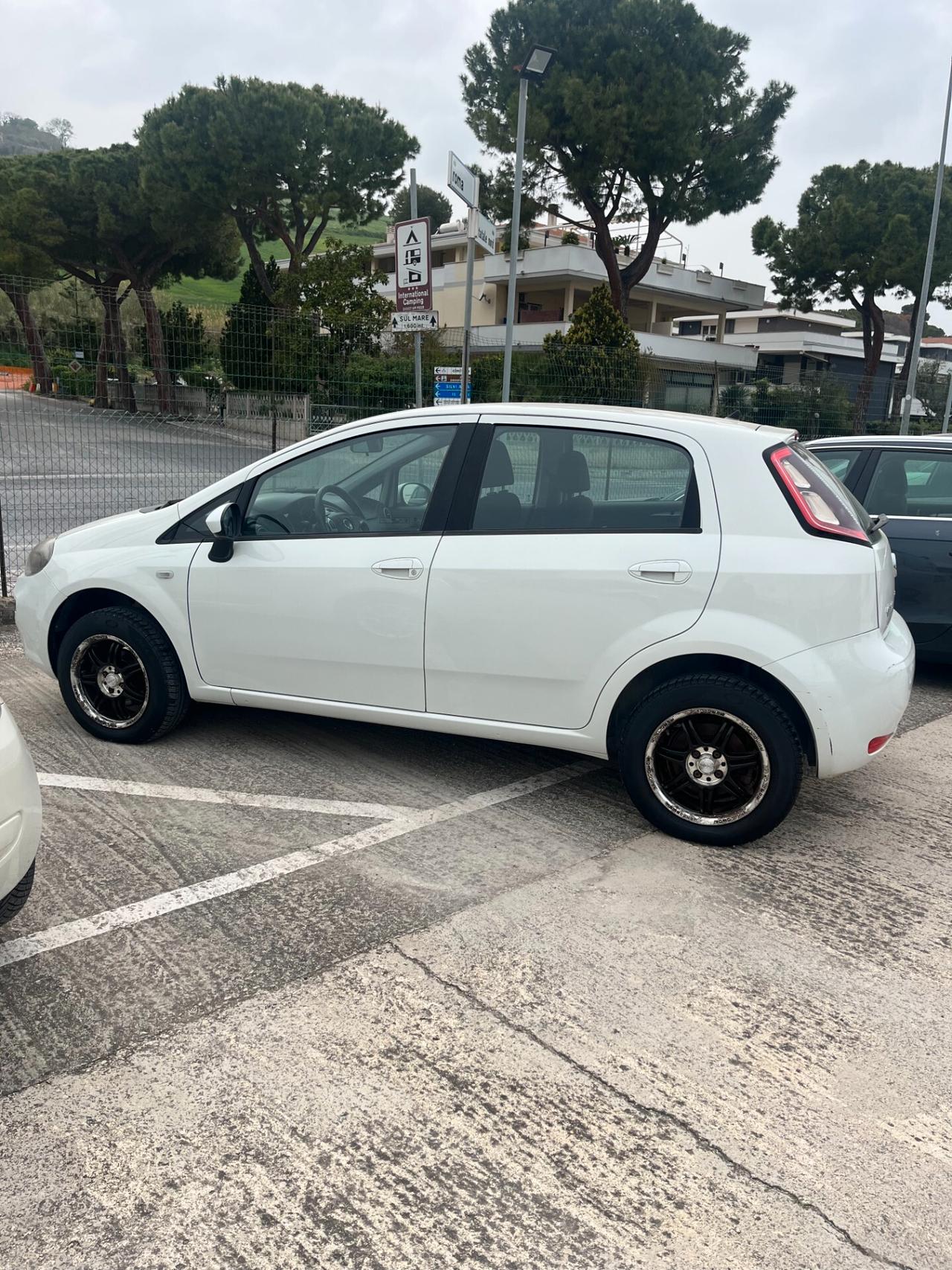 Fiat Punto Evo Punto Evo 1.2 5 porte S&S Active