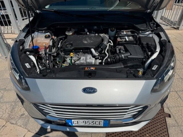 Ford Focus 1.5 EcoBlue 120 CV SW Business