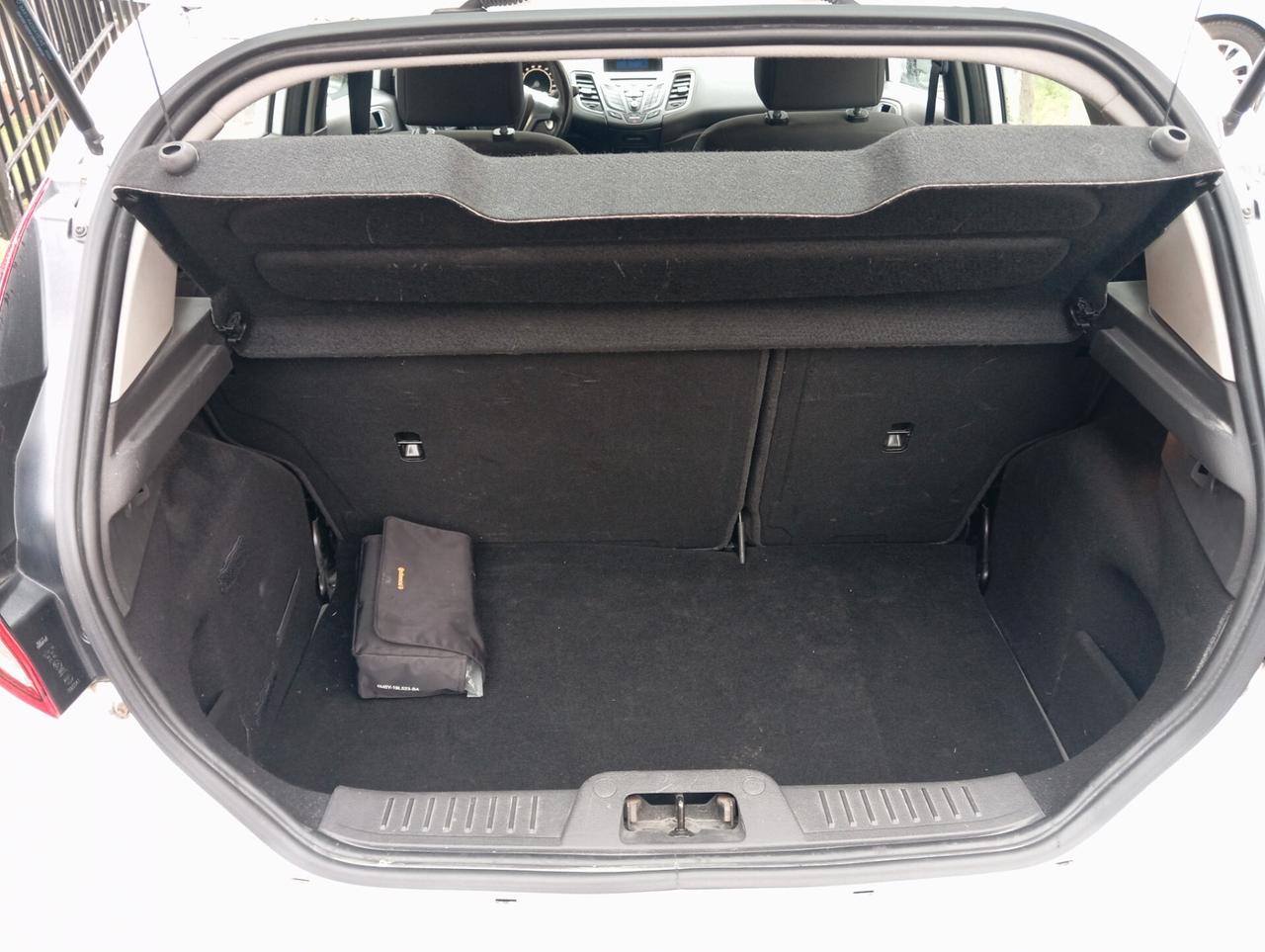 Ford Fiesta 1.4 5 porte Bz.- GPL Black & White Edition