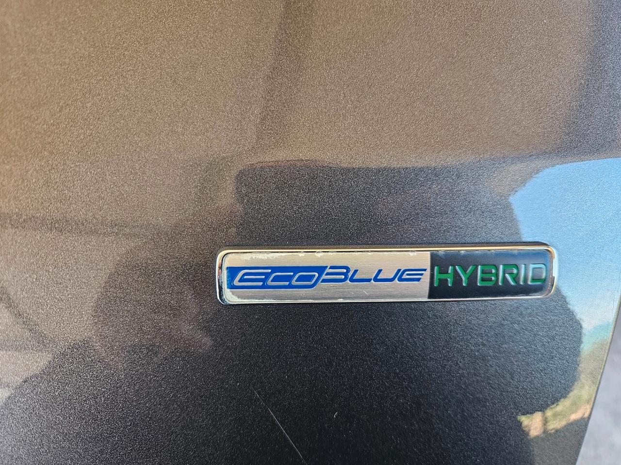 Ford Kuga 2.0 EcoBlue Hybrid 150 CV 2WD ST-Line