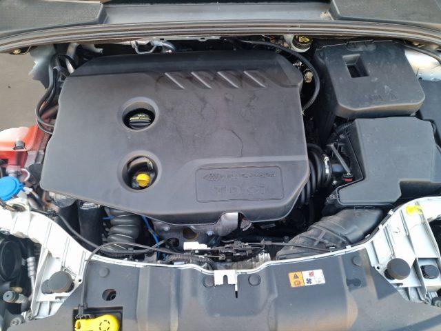 FORD Focus 1.6 TDCi 115 CV Titanium