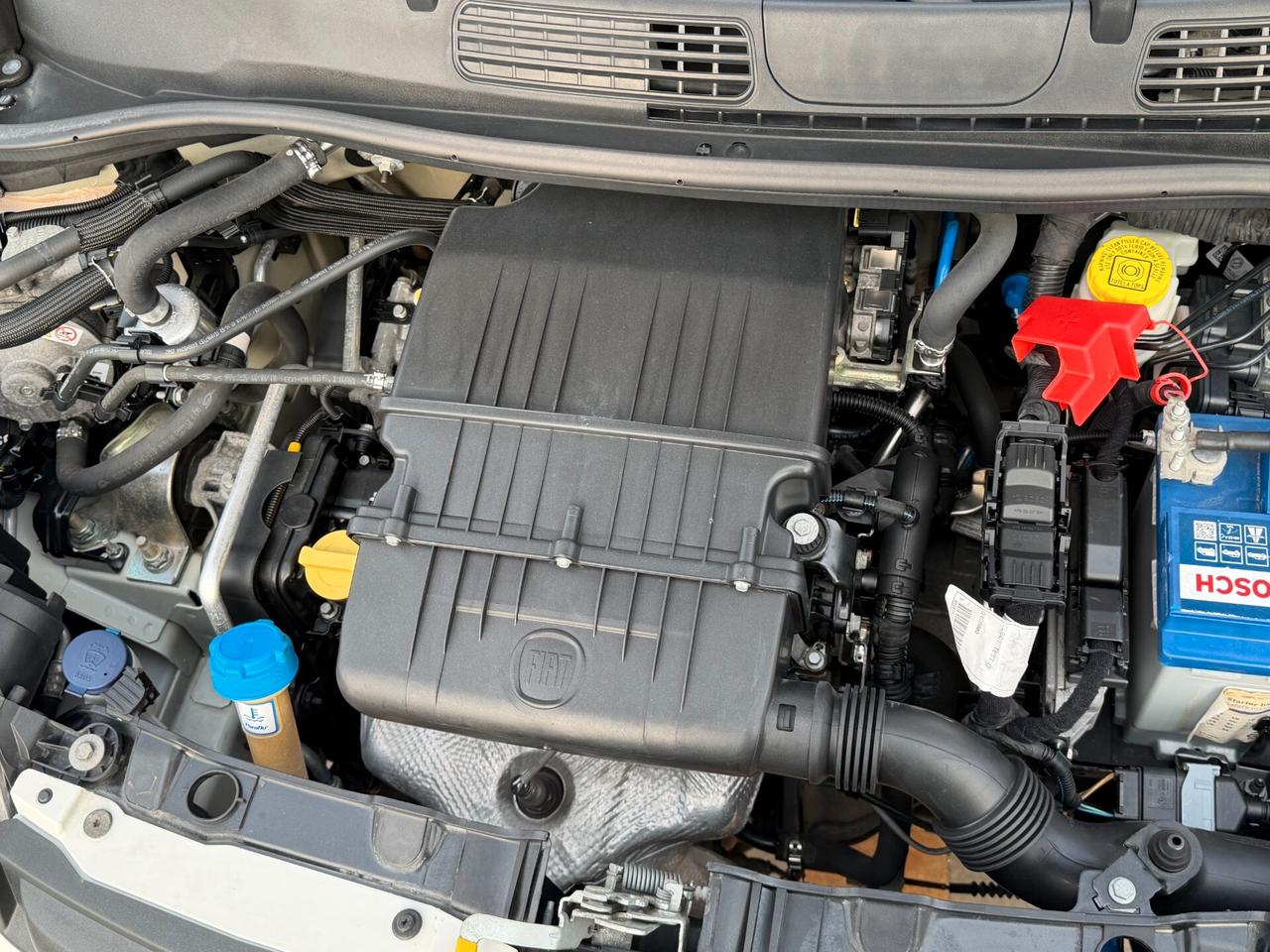 Fiat Panda New 1.2 69 cv. EasyPower EASY (Imp GPL)