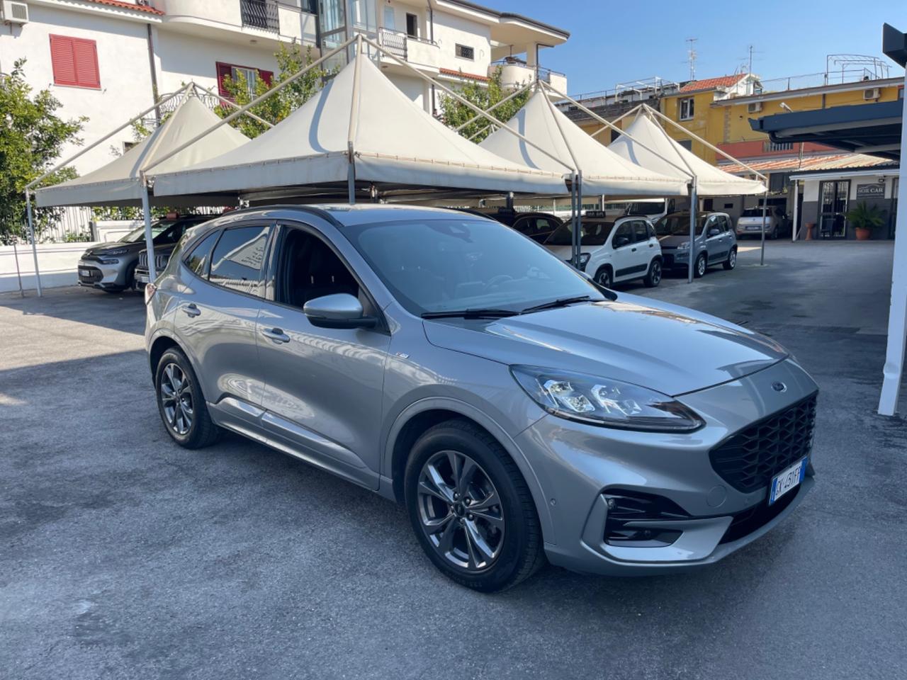 Ford Kuga 1.5 EcoBlue 120 CV aut. 2WD ST-Line X KM CERTIFICATI
