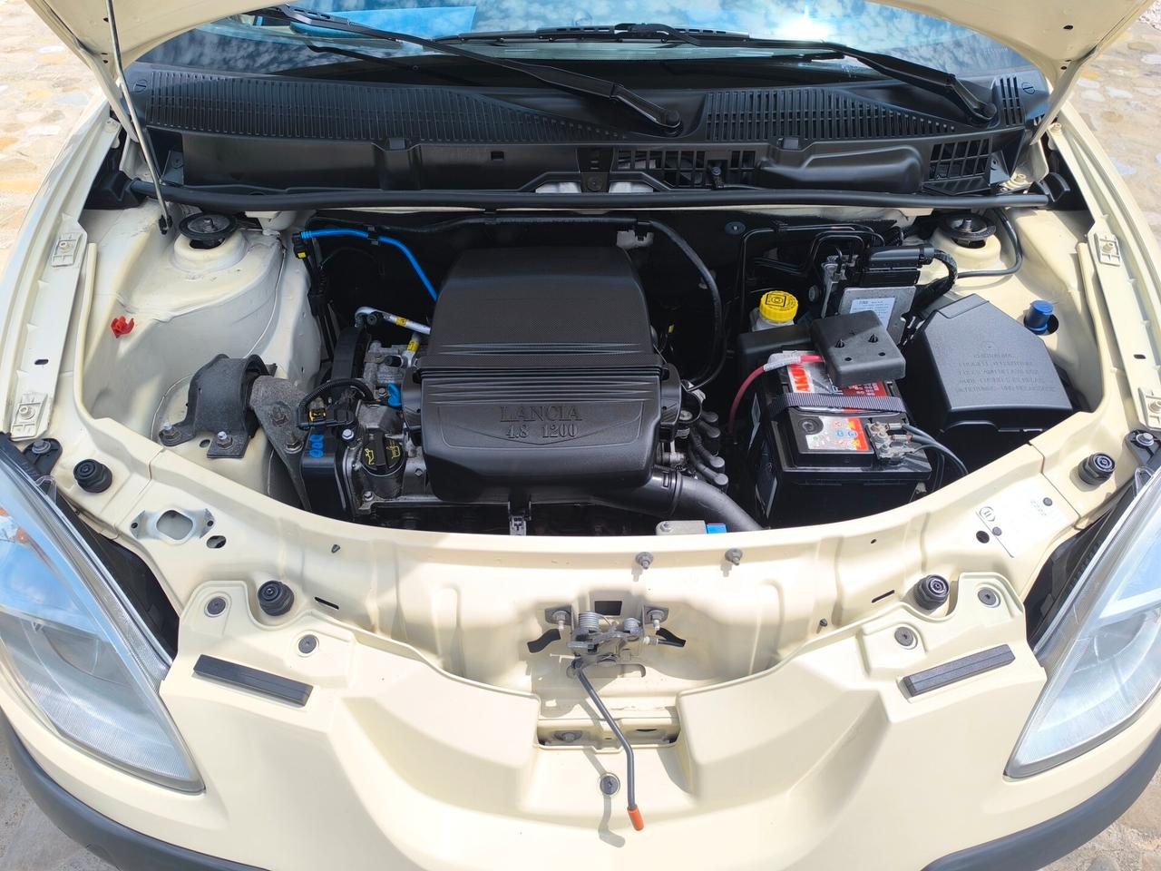 Lancia Ypsilon 1.2 perfetta full optional