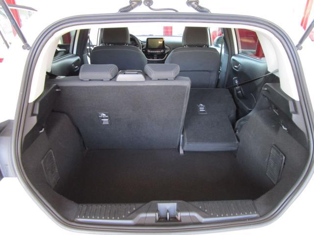 FORD Fiesta 1.0 Ecoboost Hybrid 125 CV 5 porte Titanium