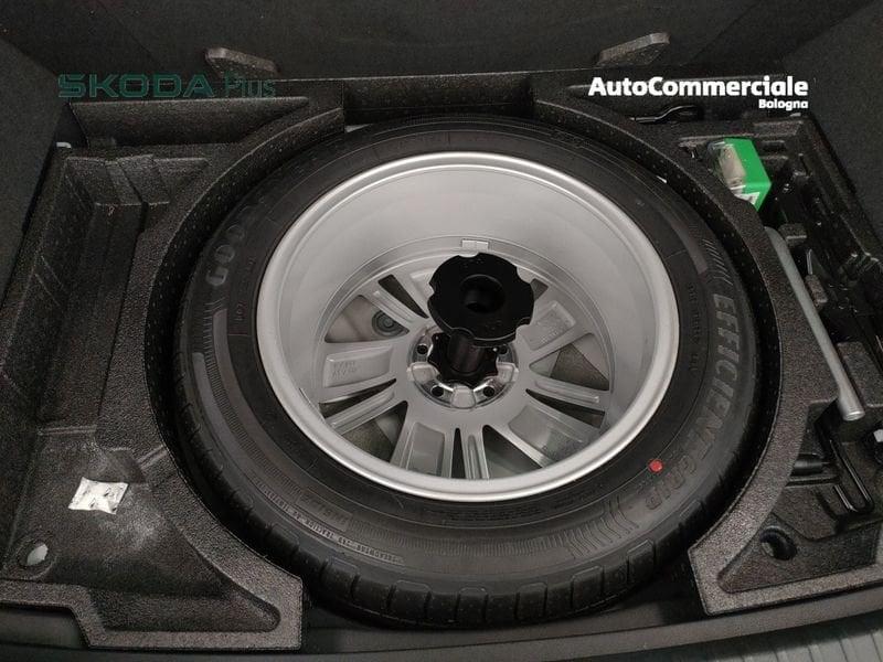 Skoda Karoq 2.0 TDI EVO SCR 115 CV Executive