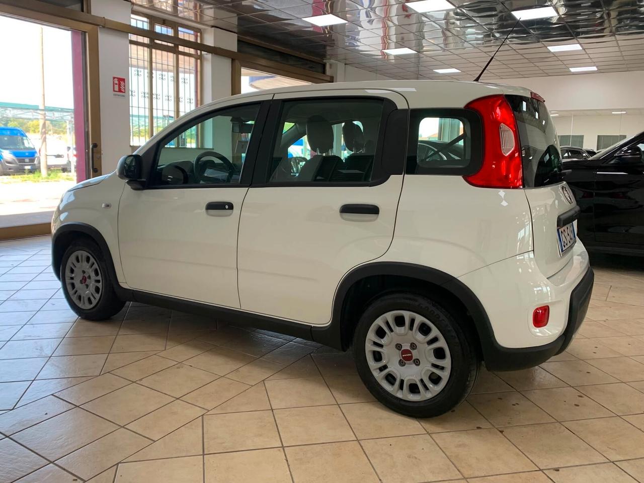 Fiat Panda 1.0 FireFly S Hybrid *IVA DEDUCIBILE*