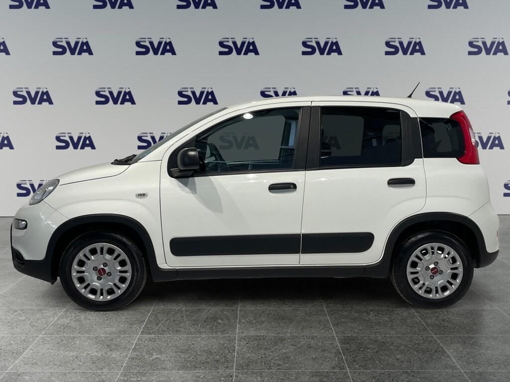 Fiat Panda Van Van 1.0 hybrid 70cv (MHEV)