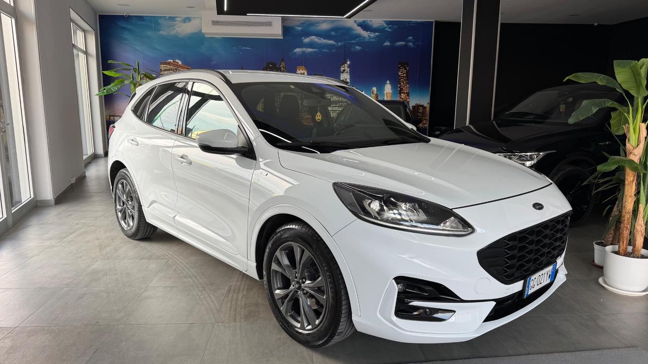 Ford Kuga 1.5 EcoBlue 120 CV 2WD ST-Line X-2021
