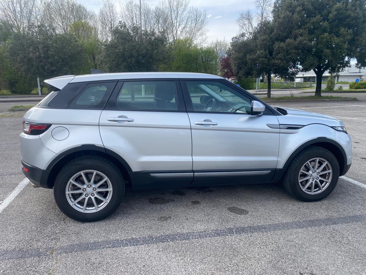 Land Rover Range Evoque 2.0 TD4 150 CV 5p. Business Edition Pure