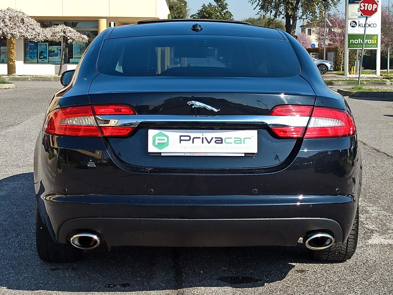 Jaguar XF 3.0 DS V6 Luxury