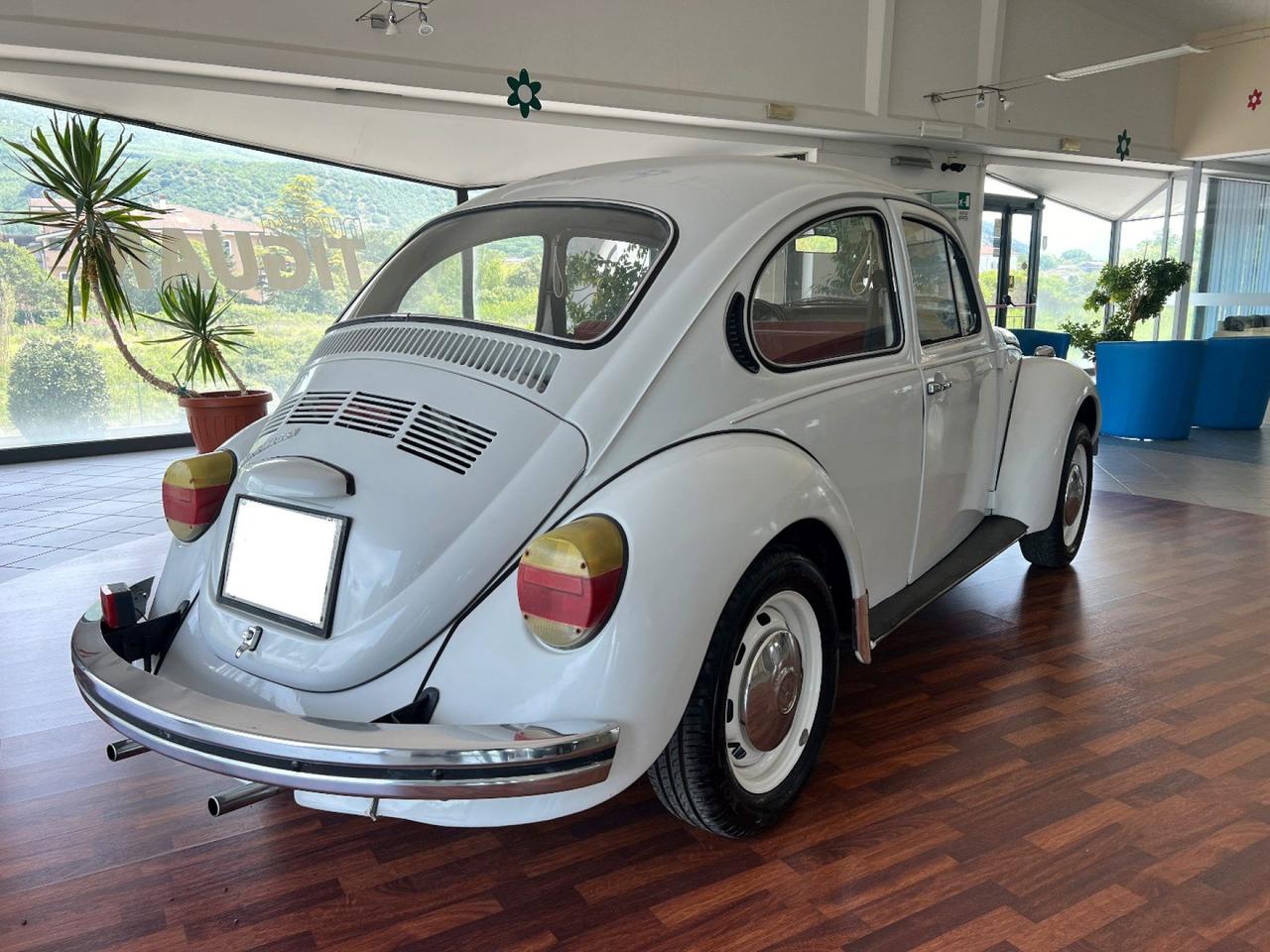 Volkswagen Maggiolino
