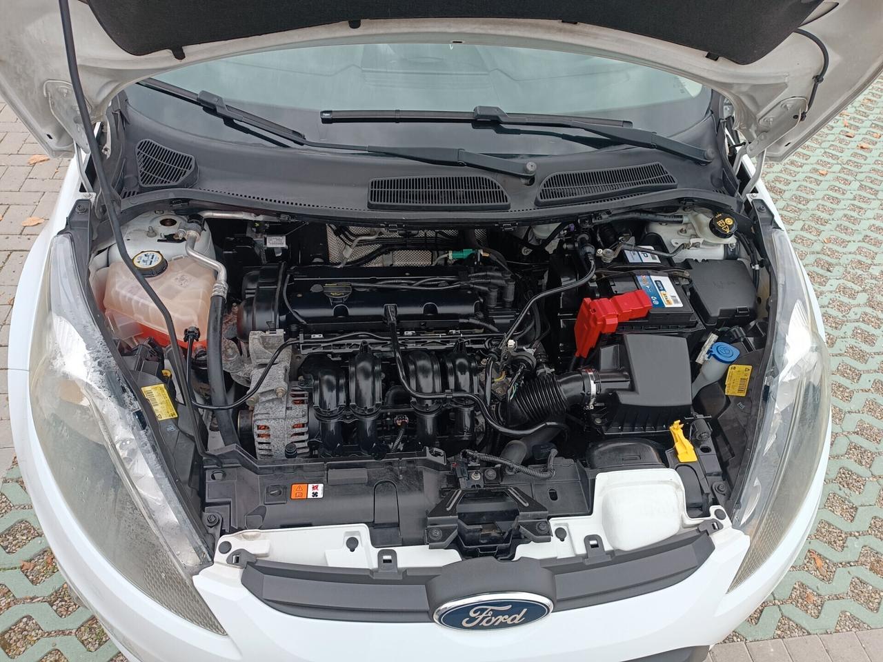 Ford Fiesta 1.2 60CV 3p. Tit. ALLUVIONATA