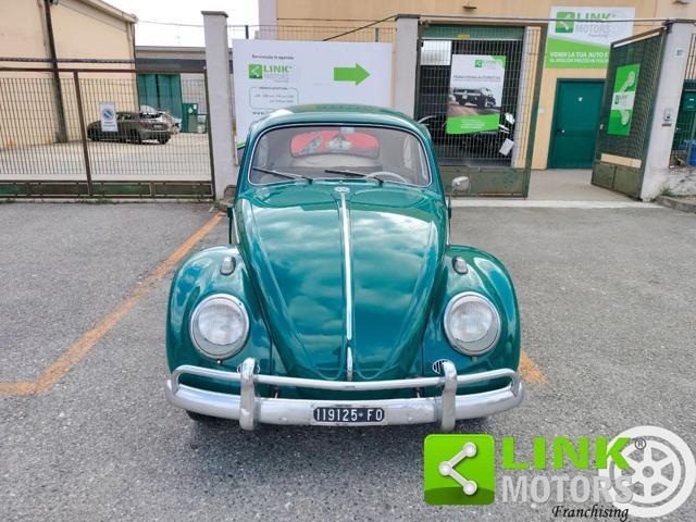 VOLKSWAGEN Maggiolino 6 VOLT