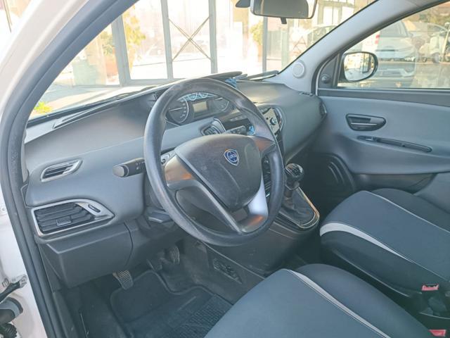 LANCIA Ypsilon 1.2 69 CV 5 porte Elefantino