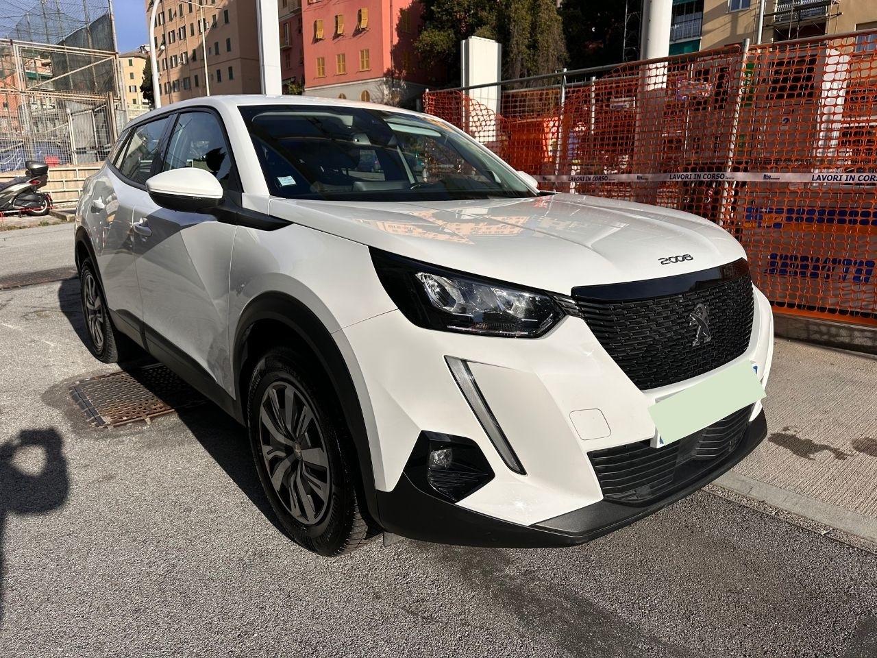 Peugeot 2008 PureTech 100 S&S Active Pack Business - Navi