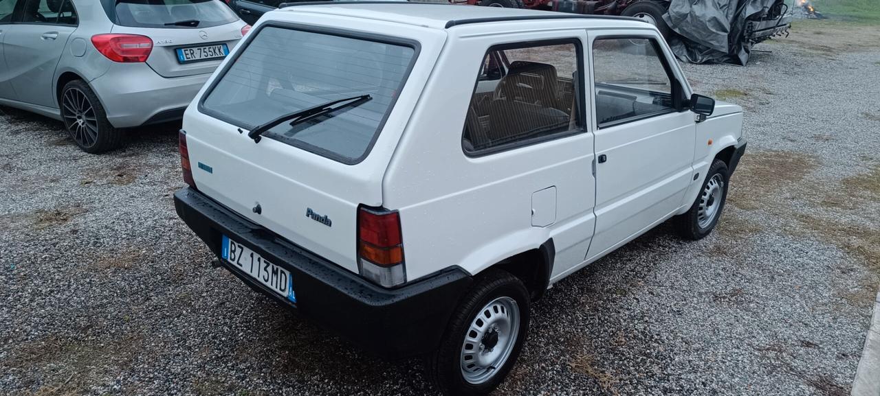 Fiat Panda 1100 i.e. cat Young