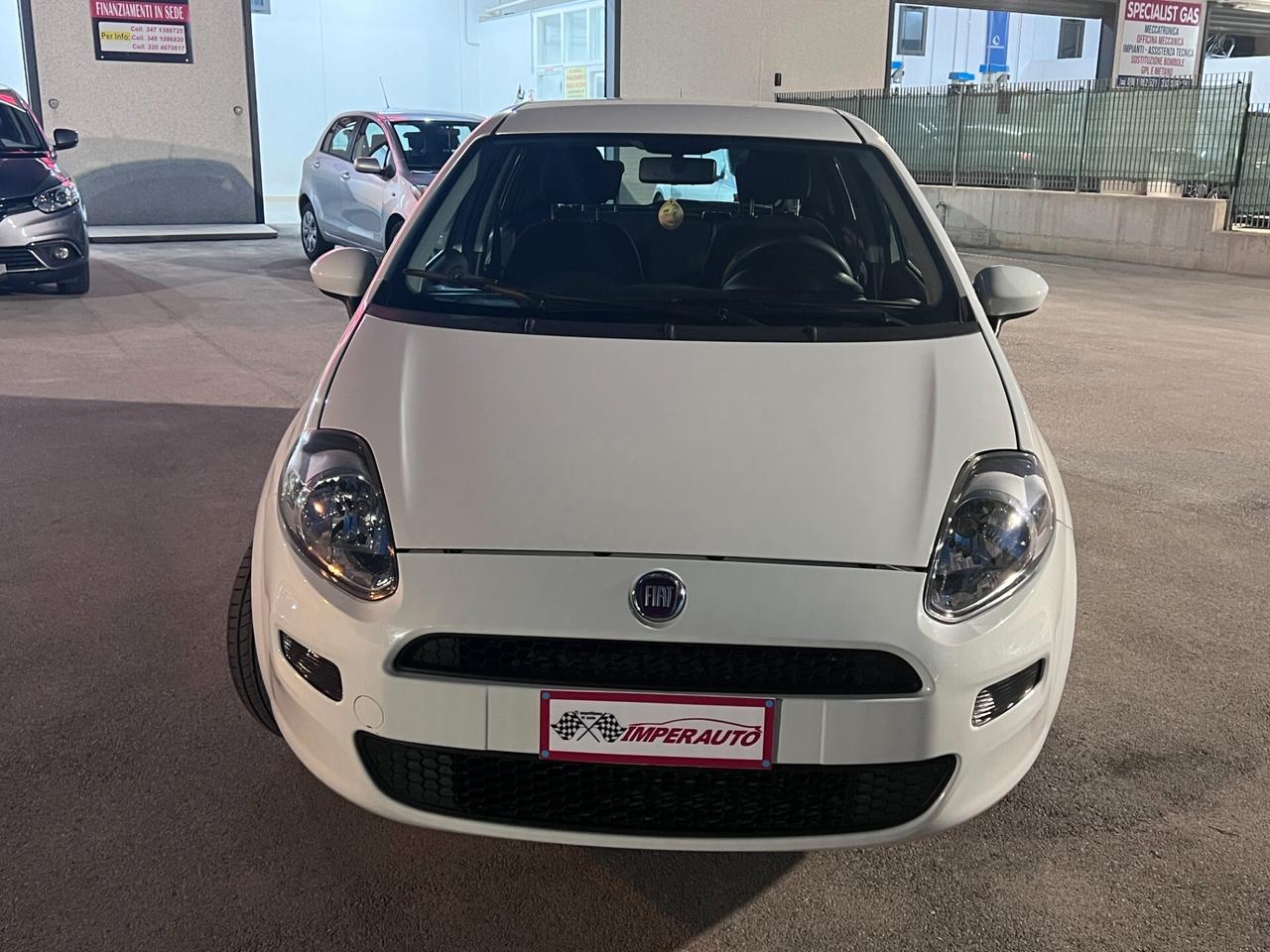 Fiat Punto 1.3MJT 75CV Lounge DISTRIBUZ.E GARANZIA