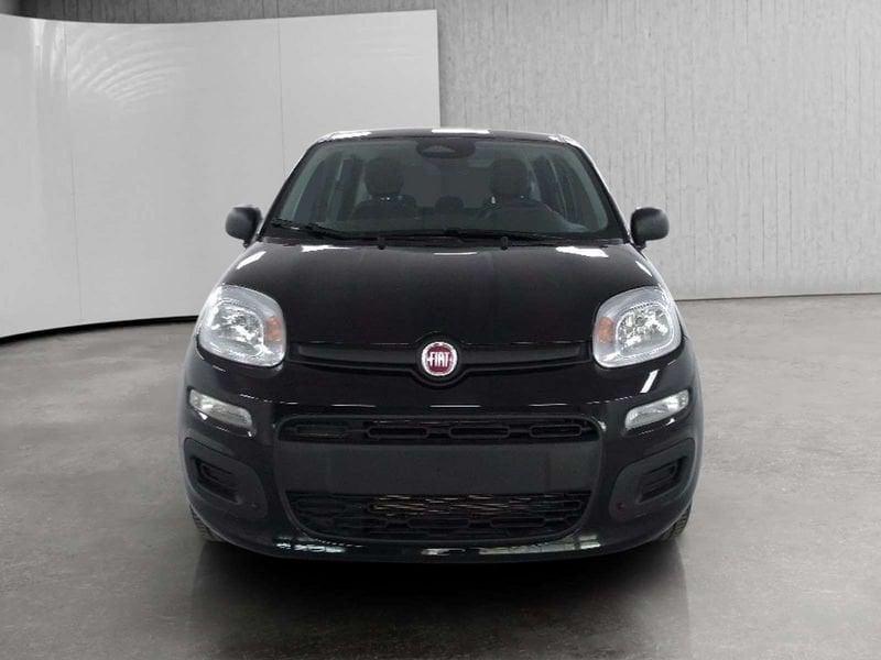 FIAT Pandina 1.0 firefly hybrid Icon s&s 70cv 5p.ti