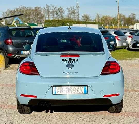 Volkswagen New Beetle 1.4 manuale turbo