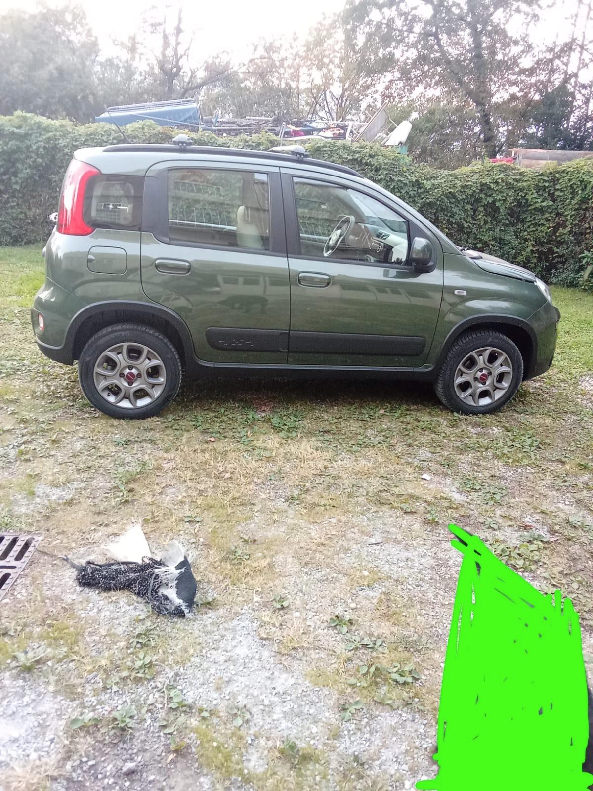 Fiat Panda 1.3 MULTIJET 4x4