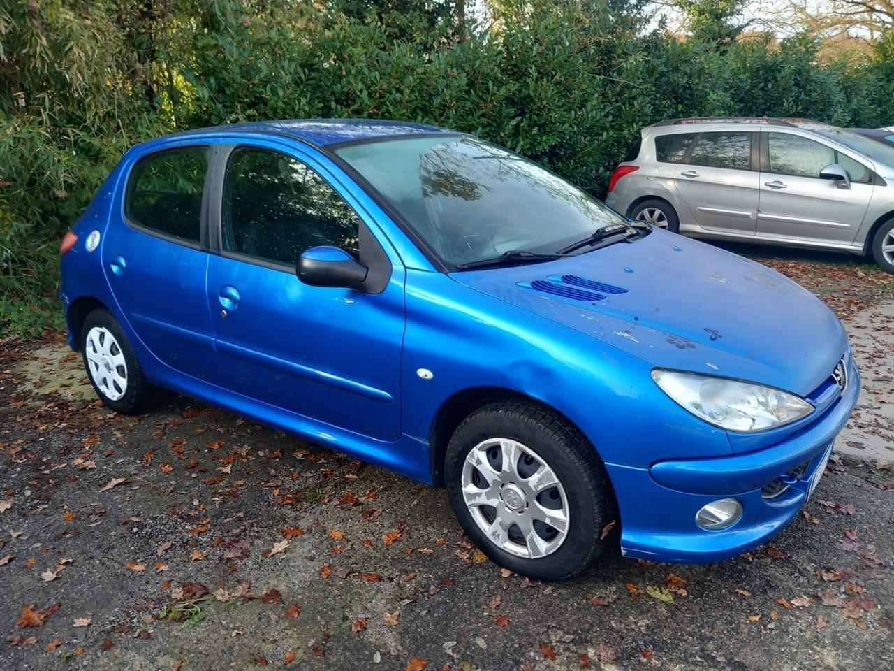 Peugeot 206 1.6 16V 5p. XS Line
