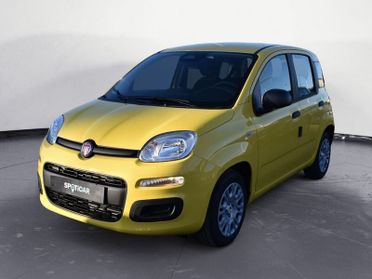 FIAT Panda Panda 1.0 FireFly S&S Hybrid Pop