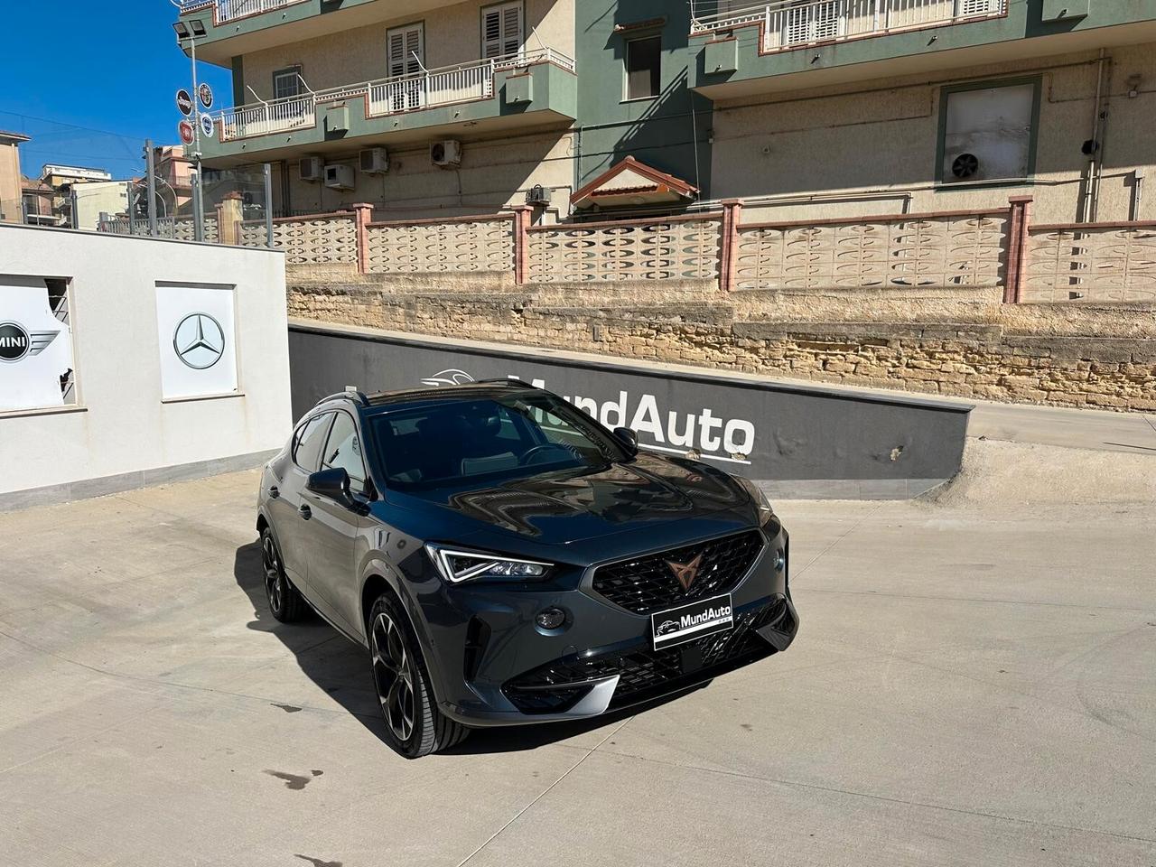 Cupra Formentor 2.0 TDI 4Drive DSG