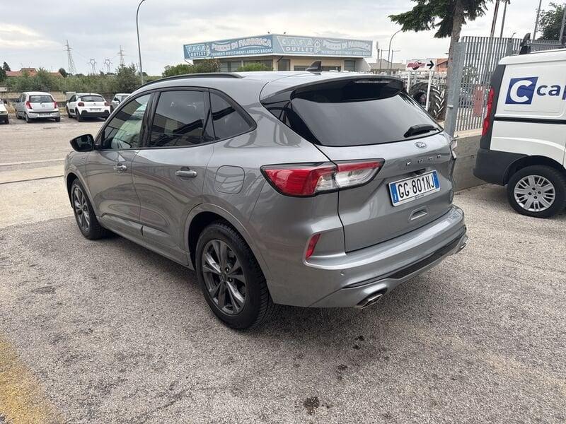 Ford Kuga 1.5 EcoBlue 120 CV ST-Line