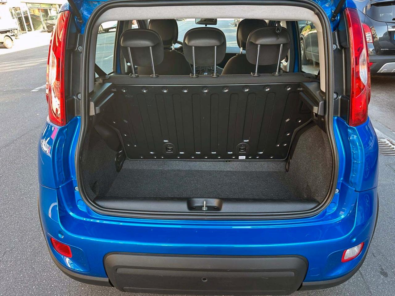 Fiat Panda Cross 1.0 FireFly S&S Hybrid