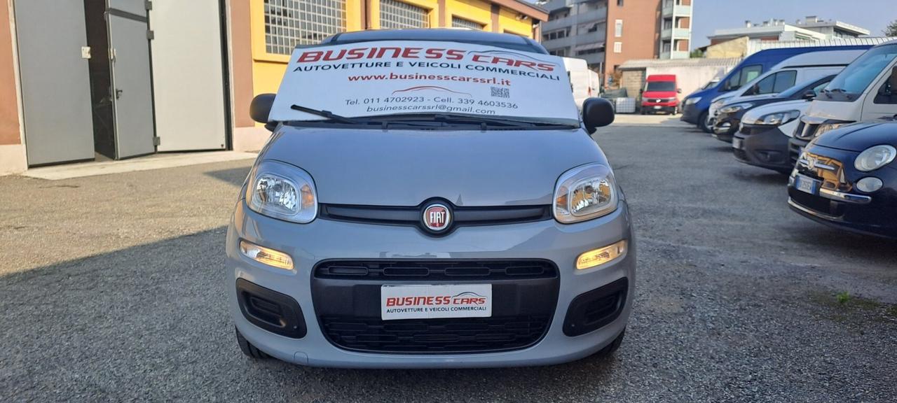 Fiat Panda 1.0 FireFly S&S Hybrid 70 CV AUTO PER NEOPATENTATI! KM. 22.000