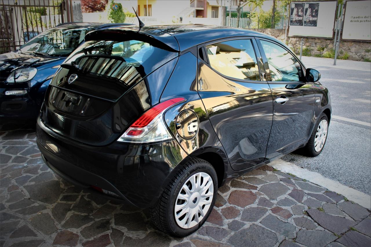 Lancia Ypsilon 1.2 69 CV 5 porte km 65000 Neopatentati