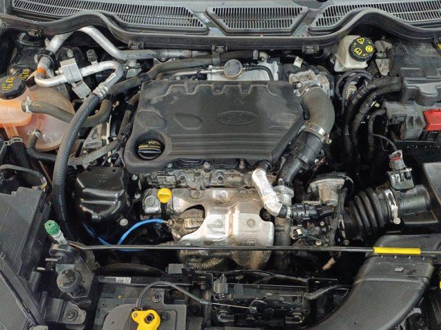FORD EcoSport 1.5 Ecoblue 95 CV Start&Stop ST-Line