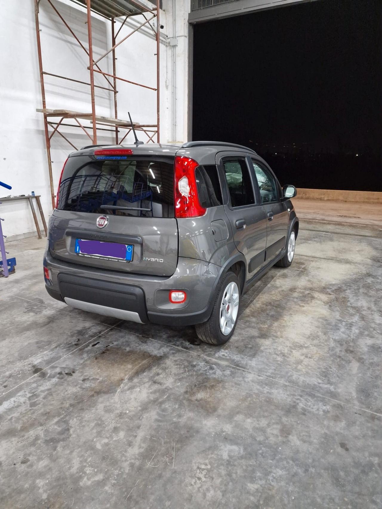 Fiat Panda Fiat Panda1.0 FireFly S&S Hybrid City Cross 70 Cavalli * Ibrida - Elettrica - Benzina *