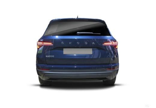 SKODA Karoq 2022 - Karoq 2.0 tdi evo Executive 115cv dsg