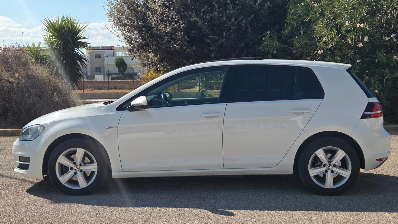 Volkswagen Golf 1.4 TGI 5p. BlueMotion Tetto