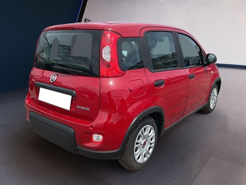FIAT Panda My24 1.0 70cv Hybrid Panda