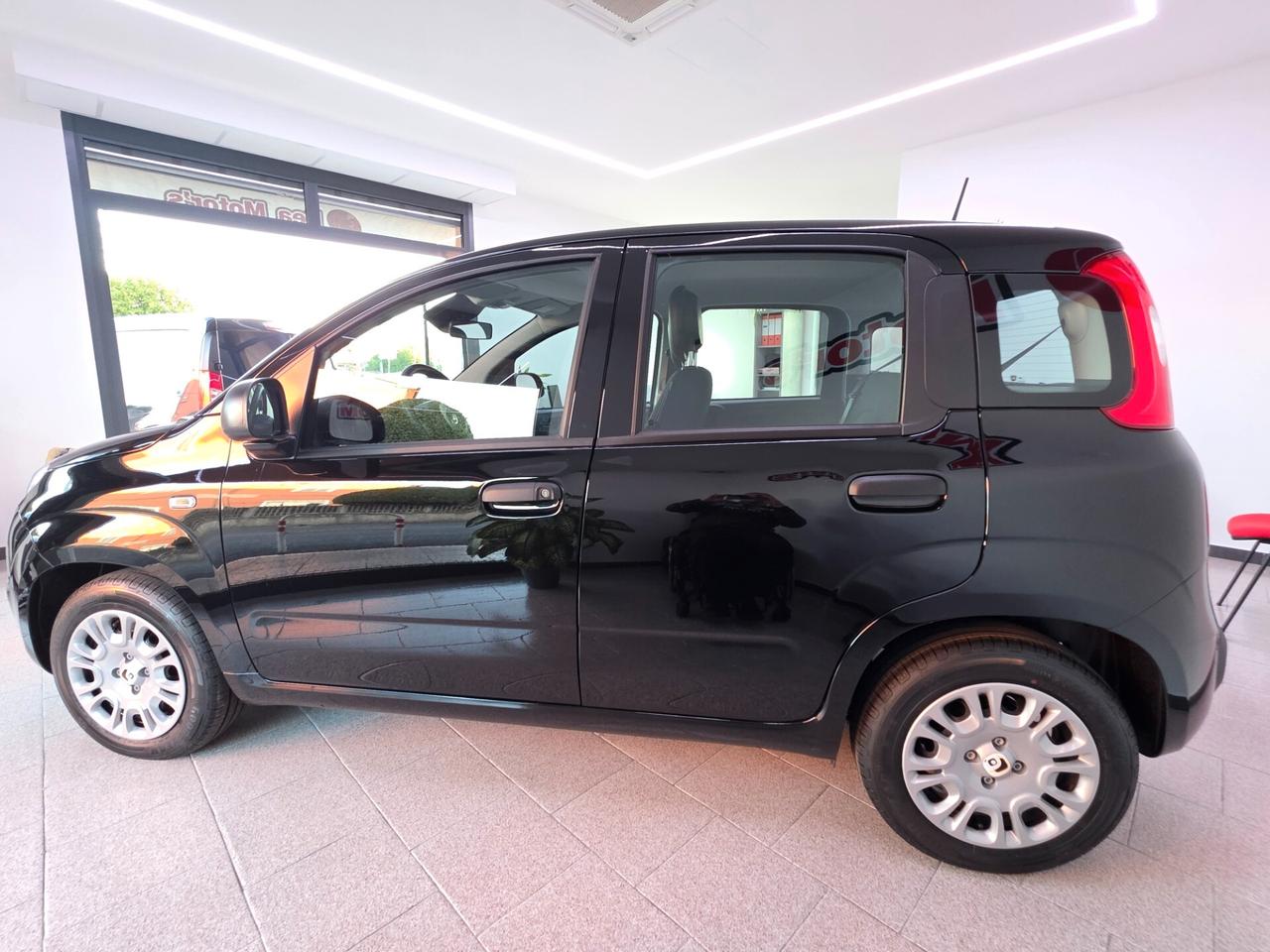 Fiat Panda 1.0 FireFly S&S Hybrid Pandina Uniproprietario nuova
