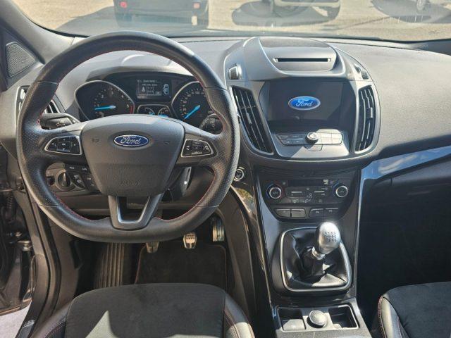 FORD Kuga 1.5 TDCI 120 CV 2WD ST-Line