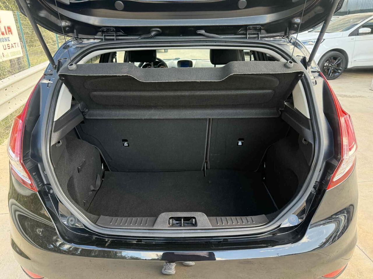 Ford Fiesta 1.4 5p. Bz.- GPL Titanium 163000KM 2013