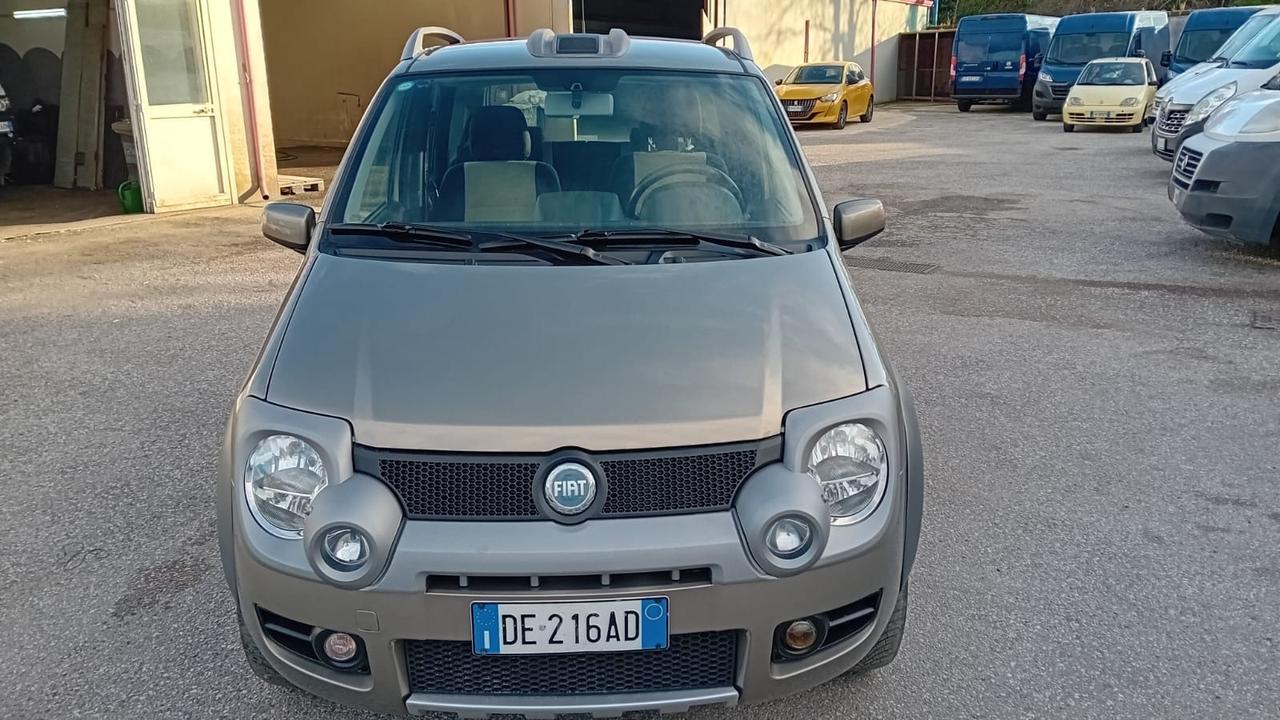 Fiat Panda cross 4 × 4-1.3 mjt-2007