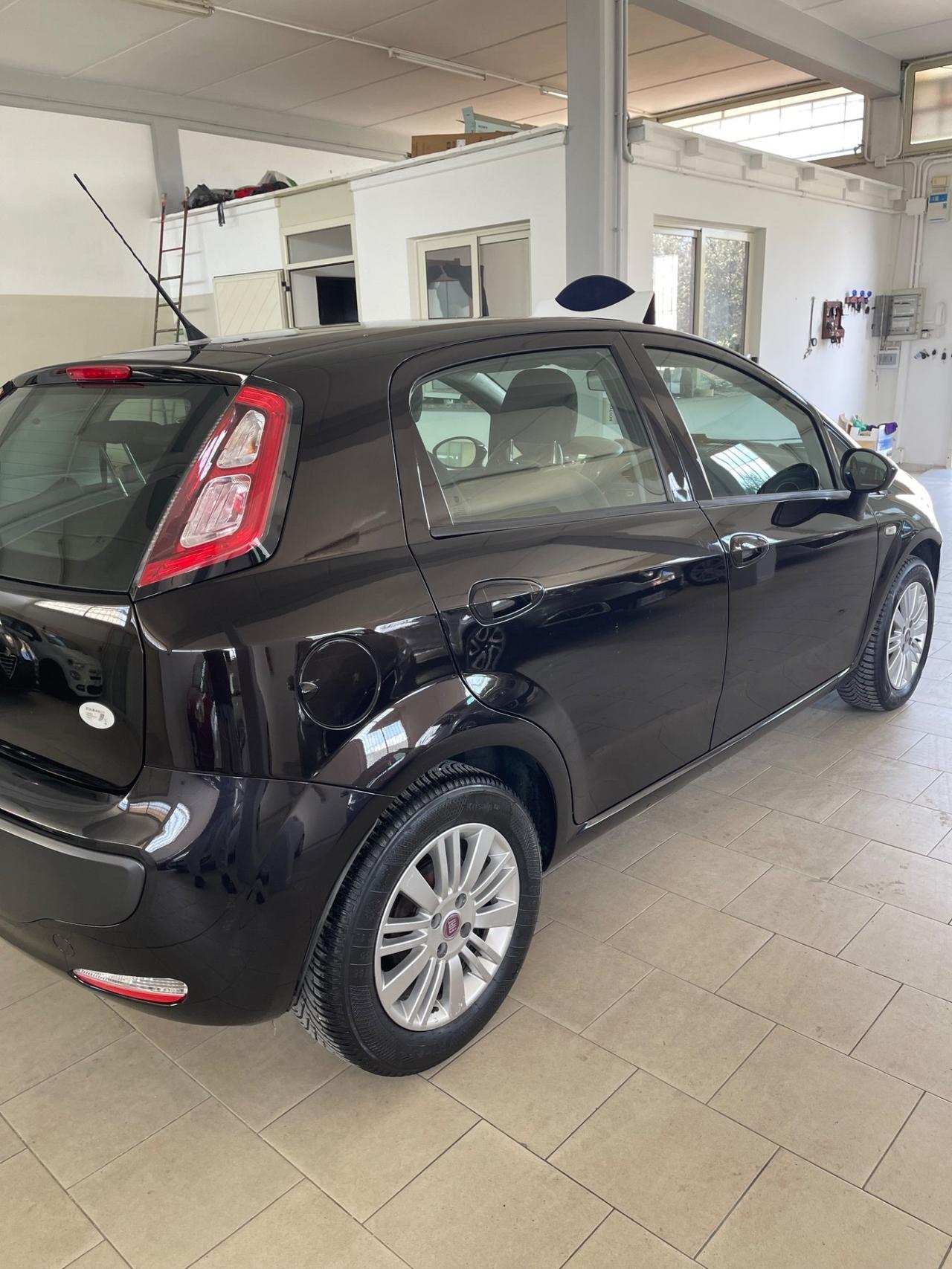 Fiat Punto Evo 1.3 Mjt 95 CV DPF 5 porte S&S Dynamic
