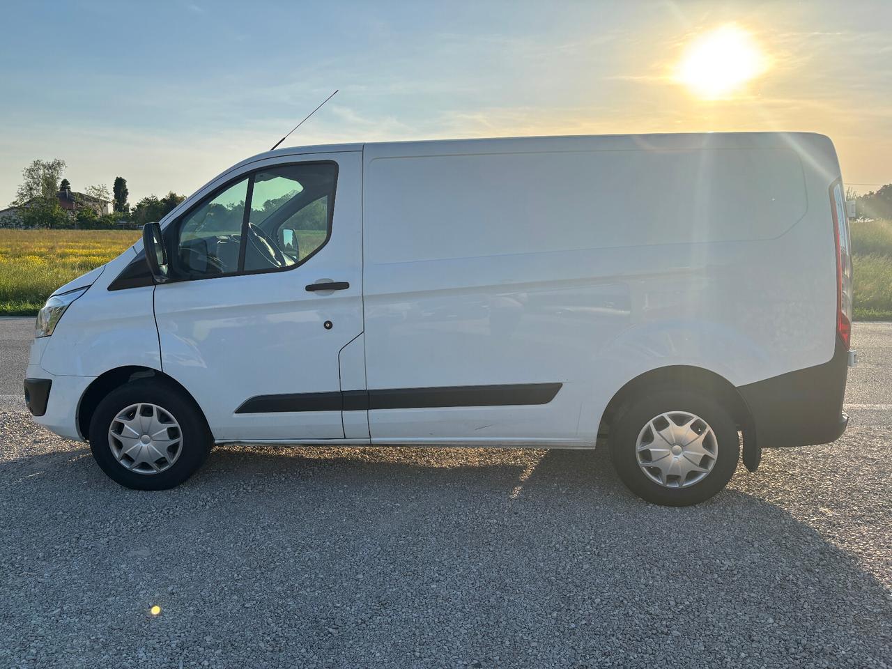 Ford Transit 290 2.0TDCi EcoBlue 130CV PM-TM Furgone Entry