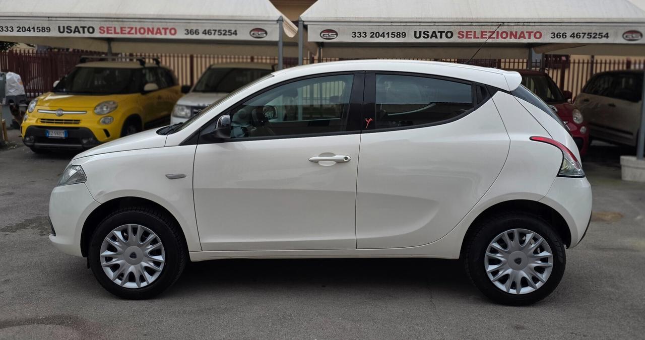 Lancia Ypsilon 0.9 TwinAir 85 CV 5 porte Metano Ecochic Elefantino