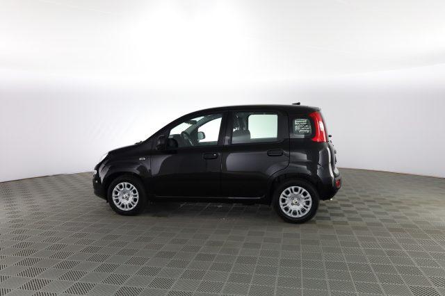FIAT Panda Panda 1.0 FireFly S&S Hybrid Icon