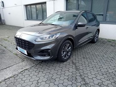FORD Kuga 2.0 ECOBLUE 120CV AUTOMATICA 2WD ST-LINE