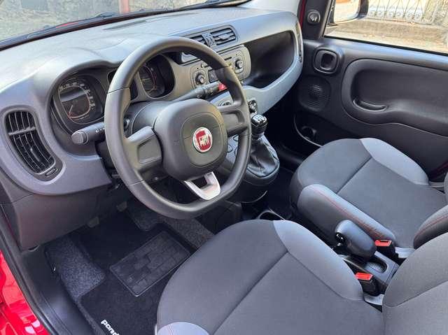 Fiat Panda 1.2 Easy *OK Neopatentati*